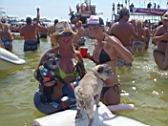 2012 Emerald Coast Crab Island (62).JPG